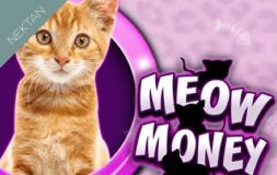 Meow Money slot logo