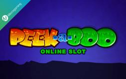 Peek-a-Boo 5 Reels slot logo