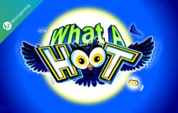 What a Hoot slot logo
