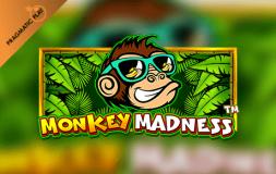 Monkey Madness slot logo