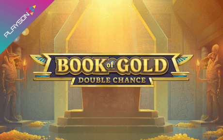 Book of Gold Double Chance slot logo