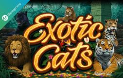 Exotic Cats slot logo
