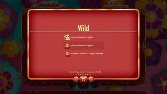 Slot Machine - Wild Symbol Screen