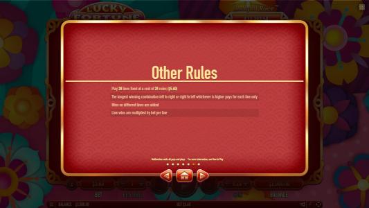Slot Machine Game Rules Screen