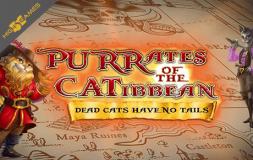 Purrates of the Catibbean slot logo