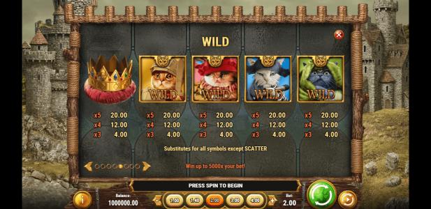 Slot Machine Paytable Screen