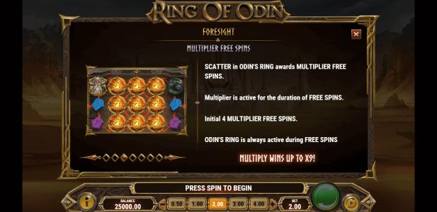 Ring of Odin Slot Machine Free Spins Bonus Screen