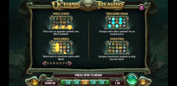 Octopus Treasure Slot Machine Wild Symbol Screen