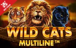 Wild Cats Multiline slot logo