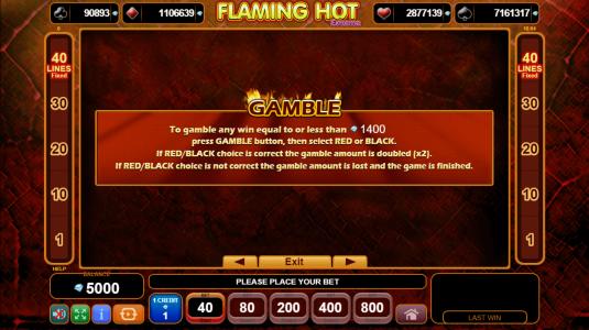 Flaming Hot Extreme Slot Machine Gamble Feature Screen