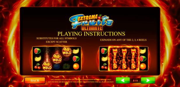 Extreme Fruits Ultimate Slot Machine Playing Instructions Screen