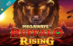 Buffalo Rising Megaways All Action slot logo
