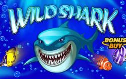 Wild Shark slot logo