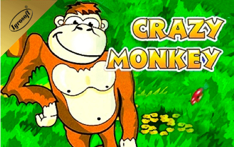 Crazy Monkey slot