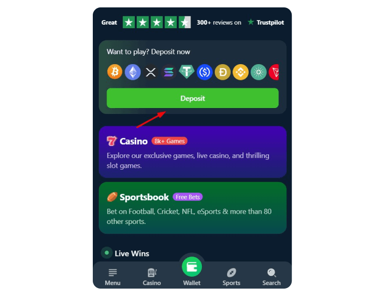 Wild io Casino page image with arrow to deposit button