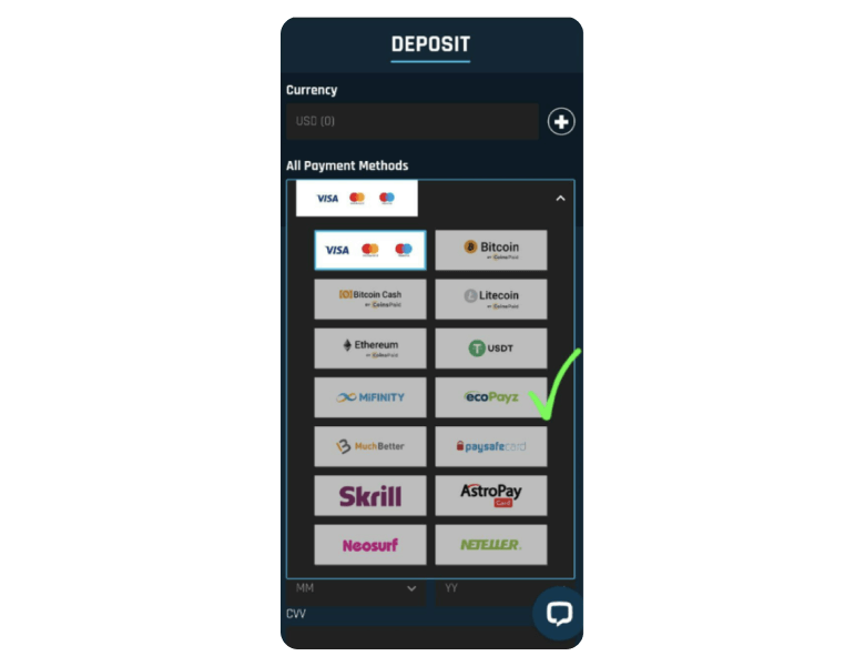 Screenshot of the payment methods page in the casino, with a check mark next to the ecoPayz logo