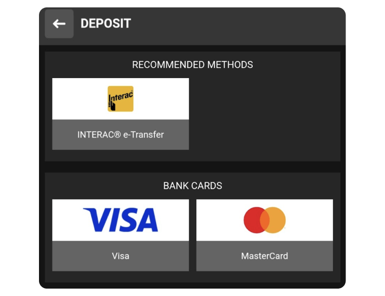 Interac, Visa and Mastercard Pyment Methods at Betandyou Casino
