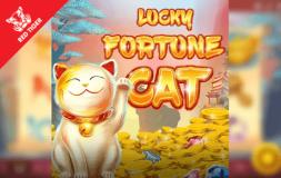 Lucky Fortune Cat slot logo