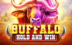 Buffalo Hold and Win slot logo