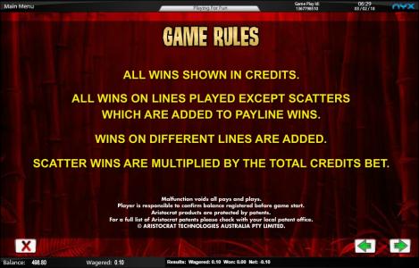 Wild Panda Slot Machine Rules Screen