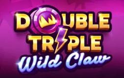Double Triple Burning Wilds slot logo