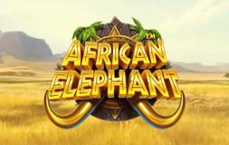 African Elephant slot logo