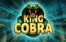 King Cobra slot logo