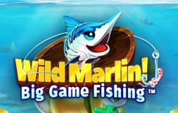 Wild Marlin – Big Game Fishing slot logo