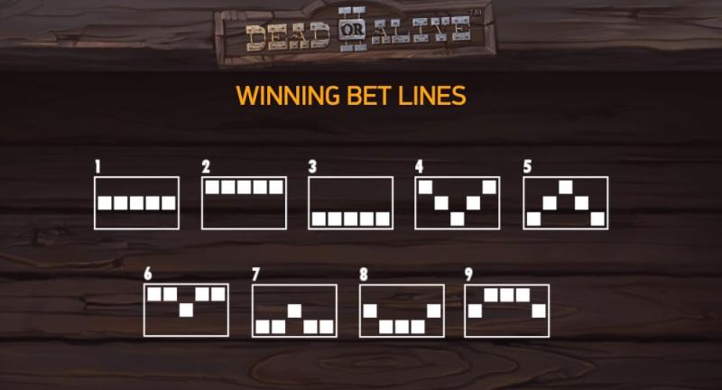 Dead or Alive 2 Paylines