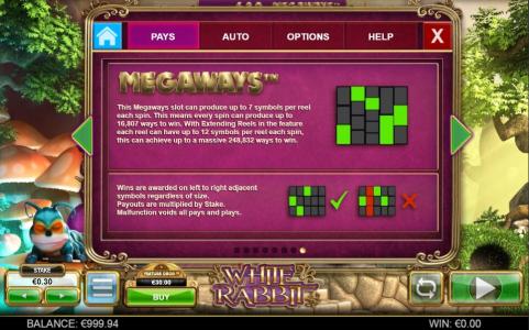 White Rabbit Slot Machine Paylines Screen