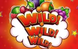 Wild! Wild! WILD! slot logo