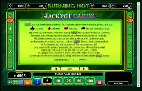 Burning Hot Slot Machine Jackpot Cards Feature Screen