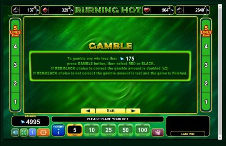 Burning Hot Slot Machine Gamble Feature Screen