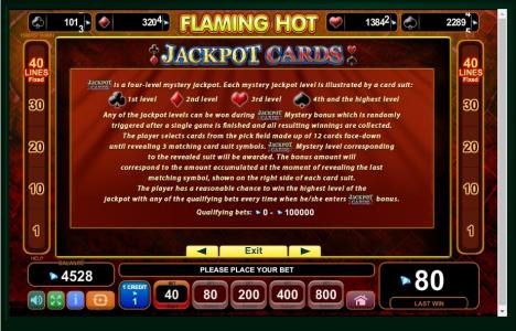 Flaming Hot Slot Machine Jackpot Cards Information Screen
