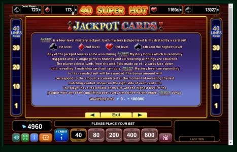 40 Super Hot Slot Machine Jackpot Cards Information Screen
