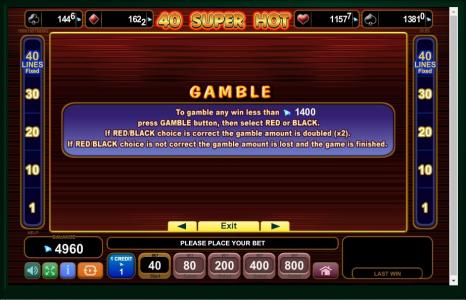 40 Super Hot Slot Machine Gamble Information Screen