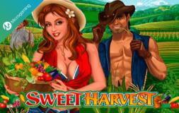 Sweet Harvest slot logo