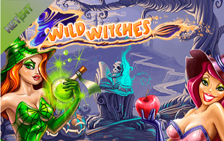Wild Witches Slot logo