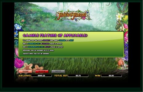 Fairies Forest Slot Machine Gemble Feature Screen