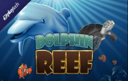 Dolphin Reef slot logo