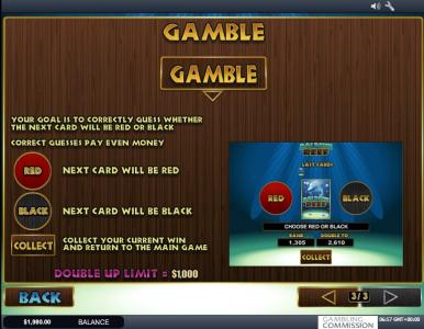 Dolphin Reef Slot Machine Gamble Feature Screen