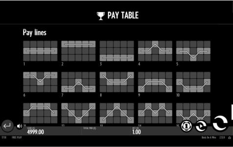Birds On A Wire Slot Machine Paylines Screen