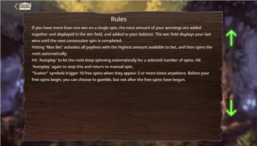 Wild Cherries Slot Machine Game Rules Screen