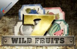 Wild Fruits slot logo