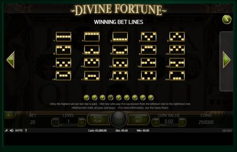 Divine Fortune Slot Machine Paylines Screen
