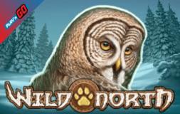 Wild North slot logo