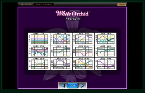 White Orchid Slot Machine Paylines Screen