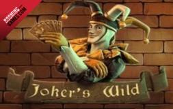 Jokers Wild slot logo