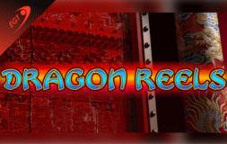 Dragon Reels slot logo