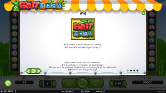 Fruit Shop Slot Machine Wild Symbol Screen